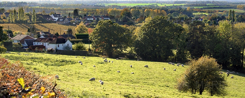 From Dawes Road 02.jpg